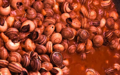 Caracoles